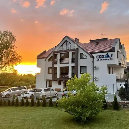 Cobalt * Mikołajki